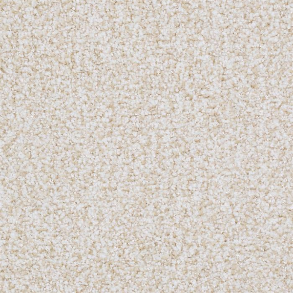 Masland Carpets St Augustine Faithful Masland