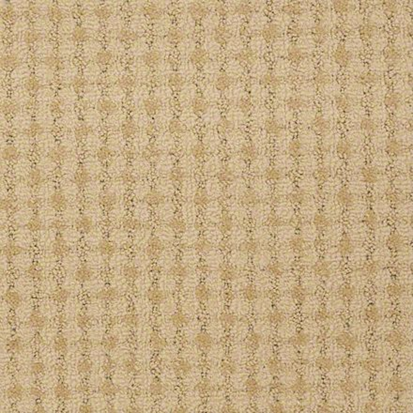 Philadelphia Commercial Metro Life Convention Hall Shaw