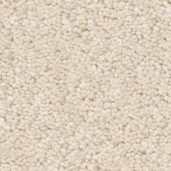 Tuftex Elegant Beauty Angora SHAW