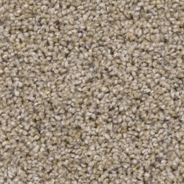 Phenix Carpets Appealing Beseech PHENIX