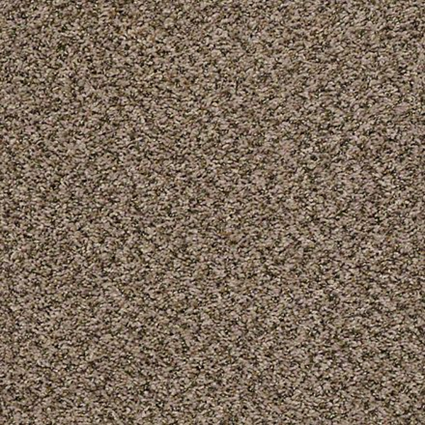 Shaw Floors Break Away (B) Safari SHAW