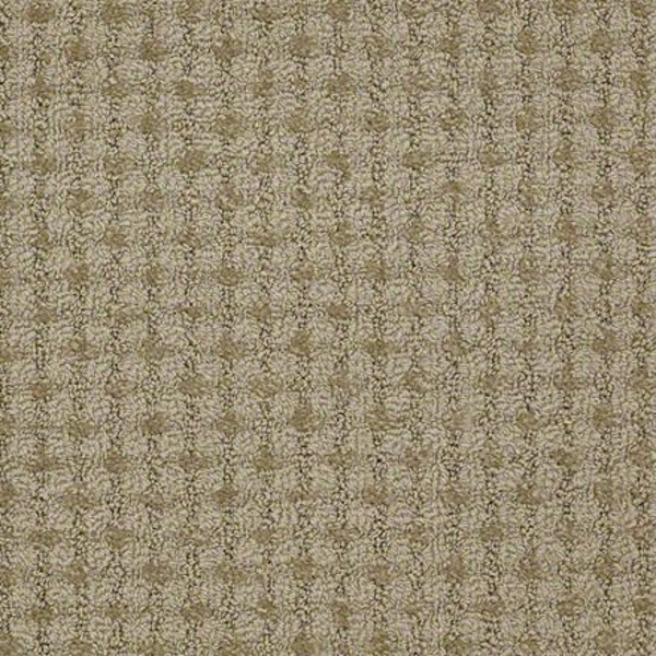 Philadelphia Commercial Metro Life Colonial District Shaw