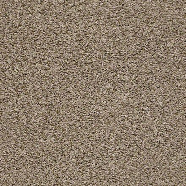 Shaw Floors Break Away (T) Blond Wood SHAW