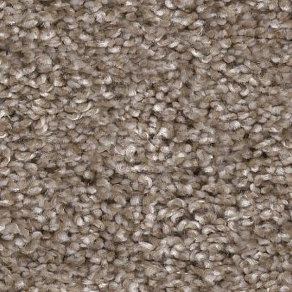 Shaw Floors Yes You Can I 12' Cameo SHAW