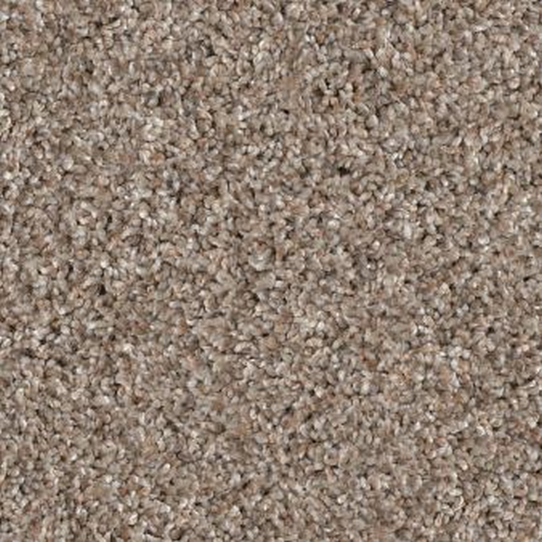 Shaw Floors Yes You Can I 12' Subtle Clay SHAW