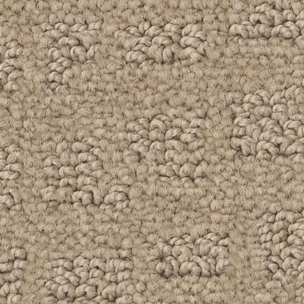 Tuftex Solstice Terrazo SHAW