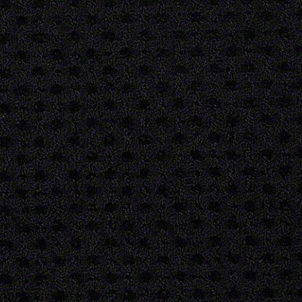 Philadelphia Commercial Metro Life Art Center Shaw