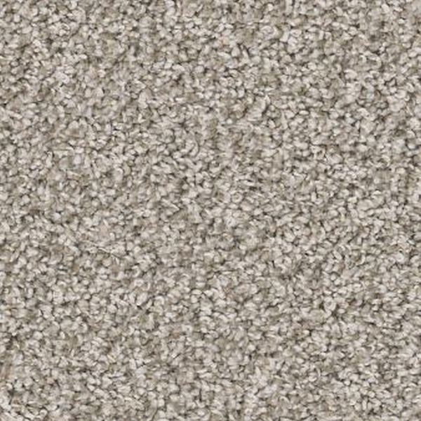 Shaw Floors Soft Radiance Dawn Beige SHAW