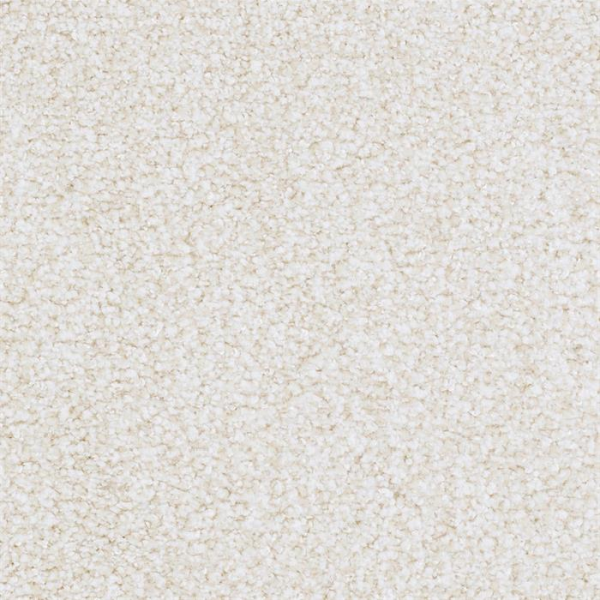 Masland Carpets St Augustine Diligent Masland