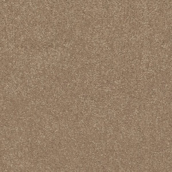 Shaw Floors Easy Spirit III 12 Stone House SHAW
