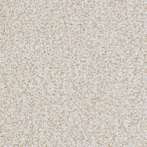 Masland Carpets St Augustine Abiding Beige Masland