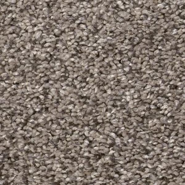 Shaw Floors Yes You Can I 12' Warm Light SHAW