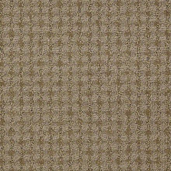 Philadelphia Commercial Metro Life Bus Stop Shaw