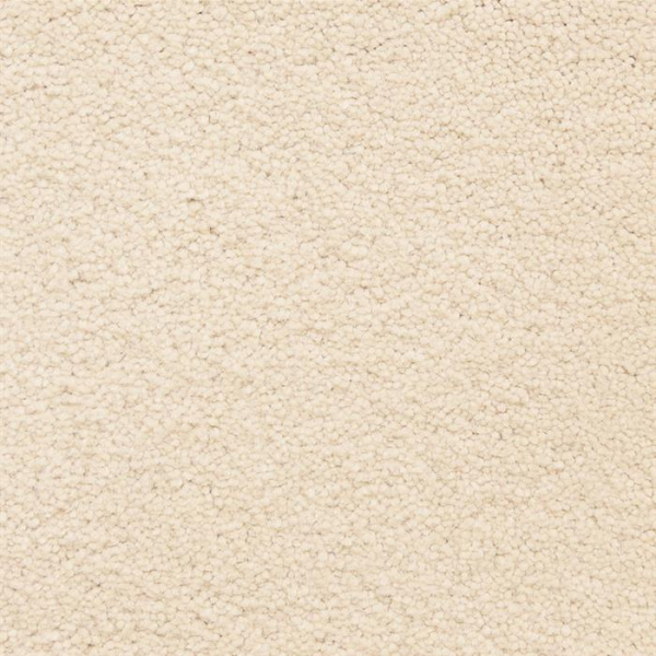 Masland Carpets Ravishing Adorable Masland