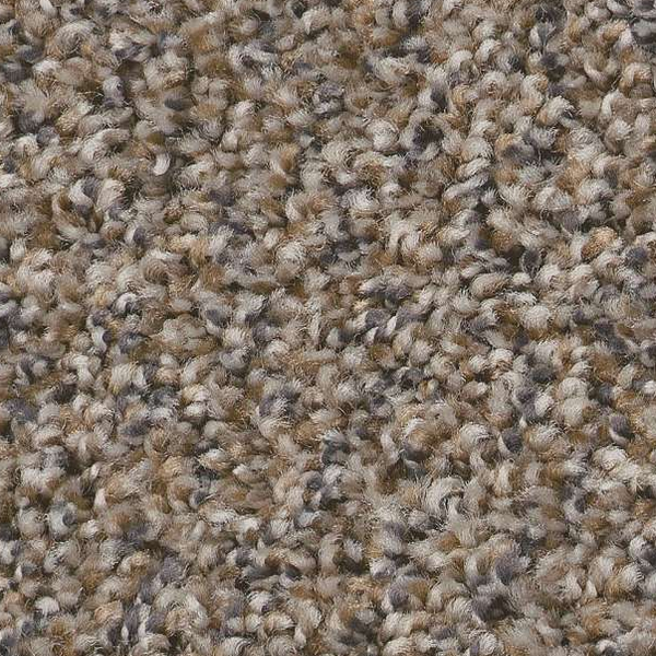 Shaw Floors Always Right I Goose Feather SHAW