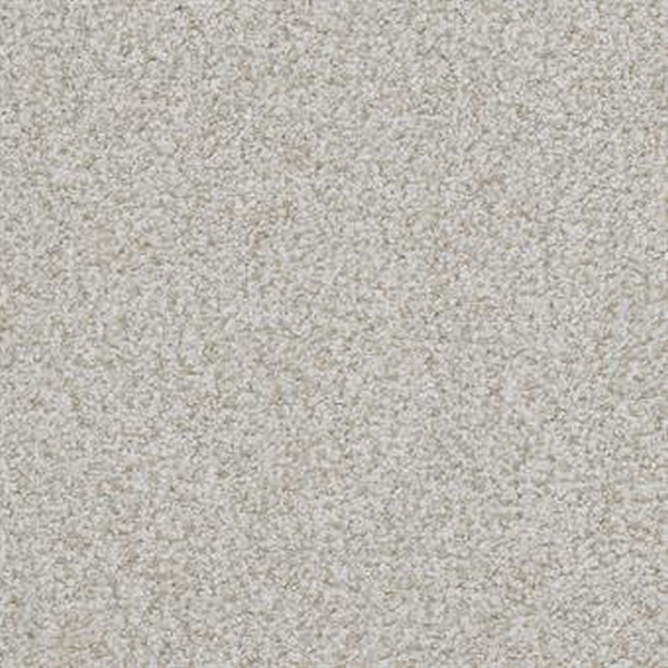 Masland Carpets Boca Raton Insistent Masland