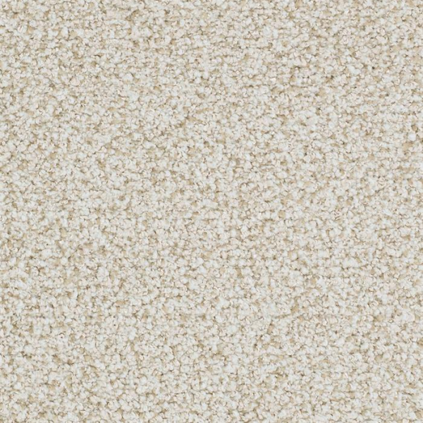 Masland Carpets St Augustine Insistent Masland