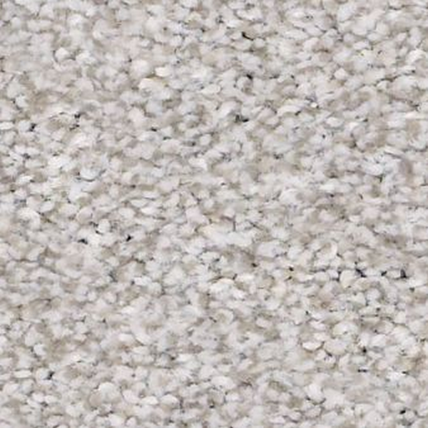 Shaw Floors Make It Mine I Soft Fleece SHAW