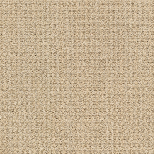 Masland Carpets Winslow Casa Grande Masland