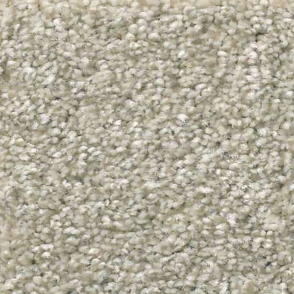 Shaw Floors Attainable Desert Light SHAW