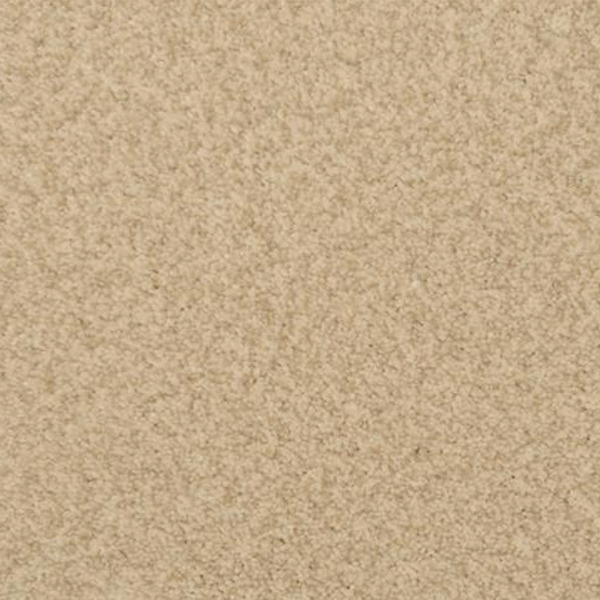 Dixie Home Chromatic Touch Tusk