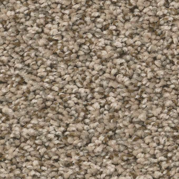 Shaw Floors Feelin' Alright Blond Wood SHAW