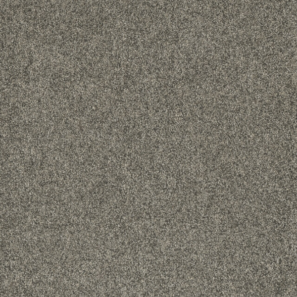 Dreamweaver Carpet Astounding II Rockwell DREAMWEAVER