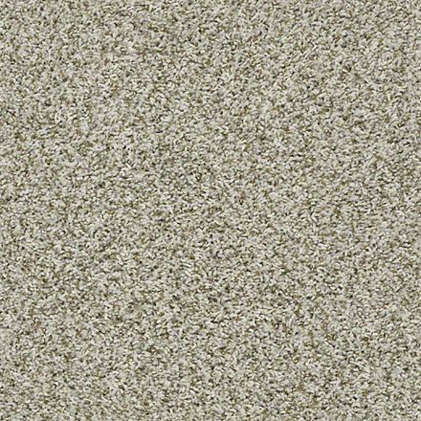 Shaw Floors Break Away (T) Stepping Stone SHAW