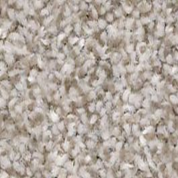 Shaw Floors Make It Mine I Winter Dunes SHAW