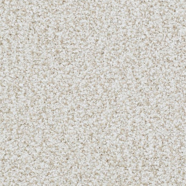 Masland Carpets St Augustine Lasting Taupe Masland