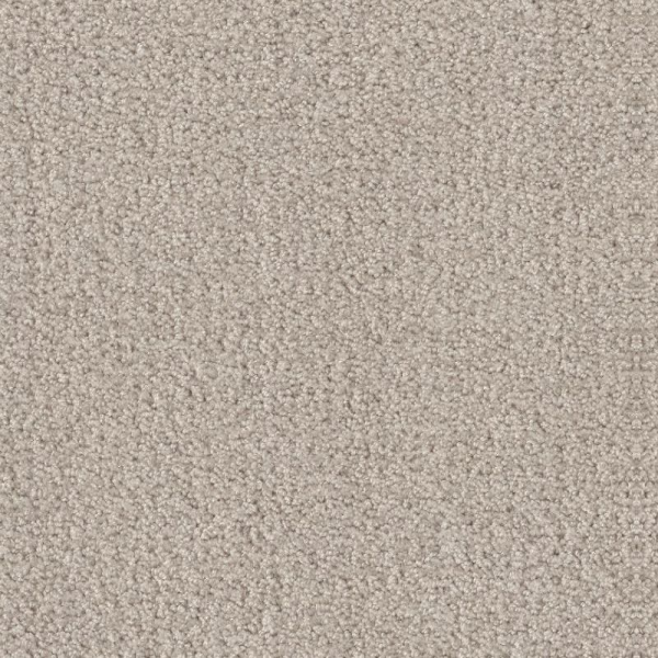 Shaw Floors Fine Tapestry Baltic Stone SHAW