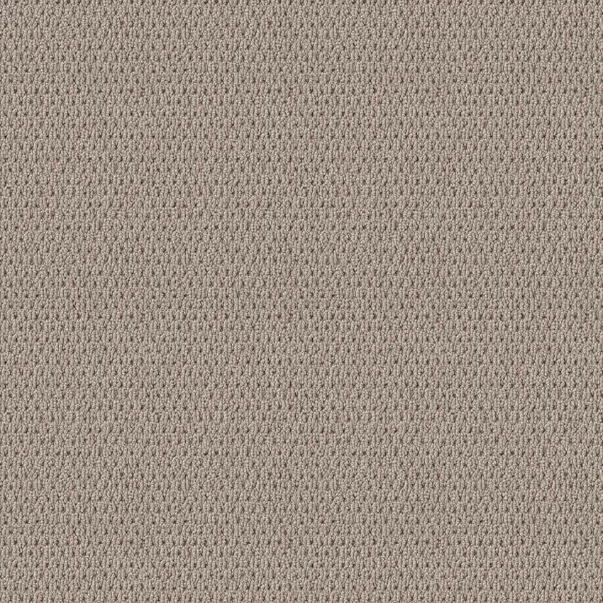 Shaw Floors Naturalistic Baltic Stone SHAW