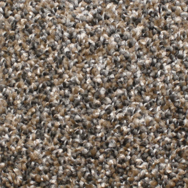 Phenix Carpets Capstone MO Sassy PHENIX