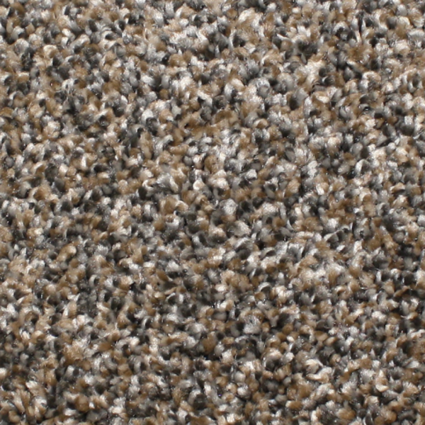 Phenix Carpets Touchstone MO Sassy PHENIX