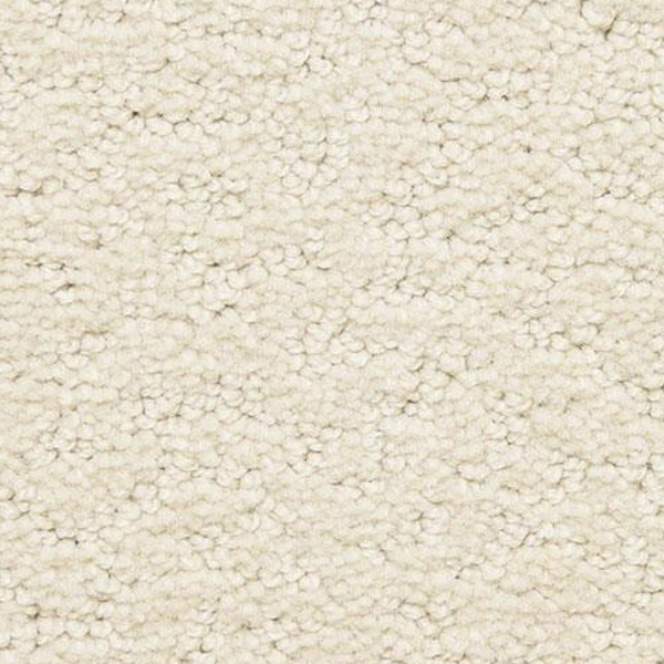 Dixie Home Prize Winner Elite