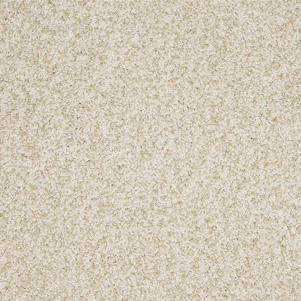 Dixie Home New Age Elite