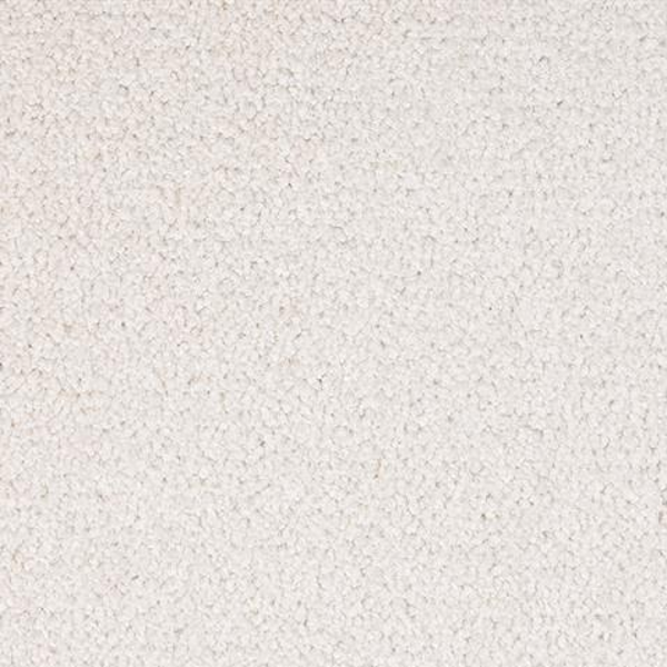 Dixie Home Spectrum Elite