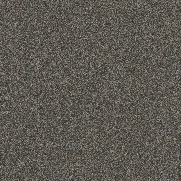 Dreamweaver Carpet Titan III Pinehurst DREAMWEAVER