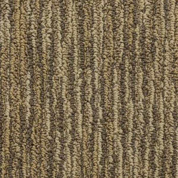 Masland Carpets Vivacity Sparkle Masland