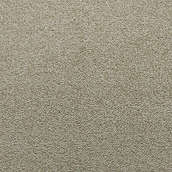 Tarkett Home Carpets Soft Spoken Peace LEXMARK