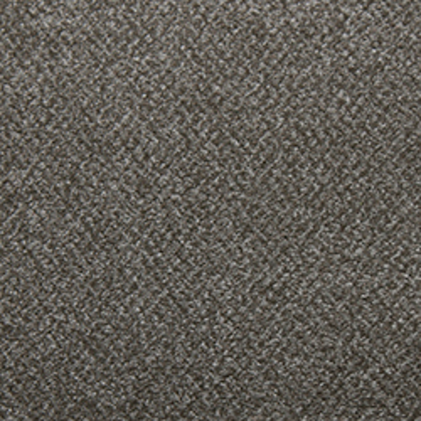 Tarkett Home Carpets Soft Spoken Bliss LEXMARK