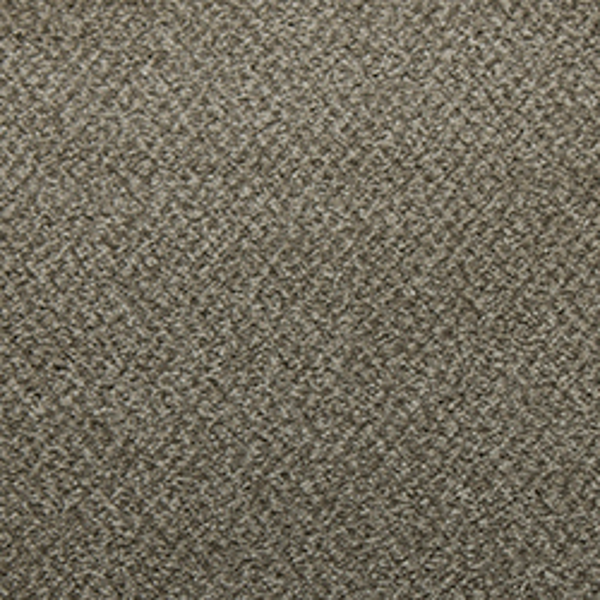 Tarkett Home Carpets Soft Spoken Fortitude LEXMARK