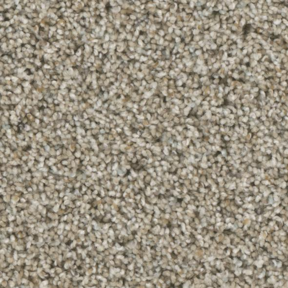 Phenix Carpets Accolades Proposal PHENIX