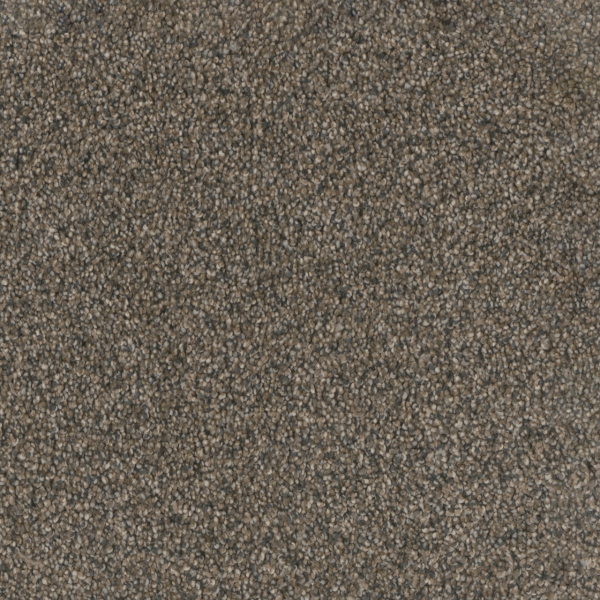 Dreamweaver Carpet Trendsetter I Imperial Sable DREAMWEAVER