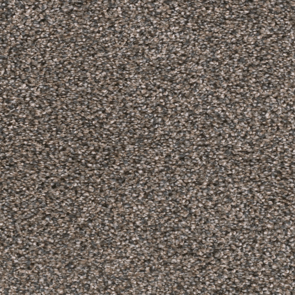 Dreamweaver Carpet Reflections I Imperial Sable DREAMWEAVER