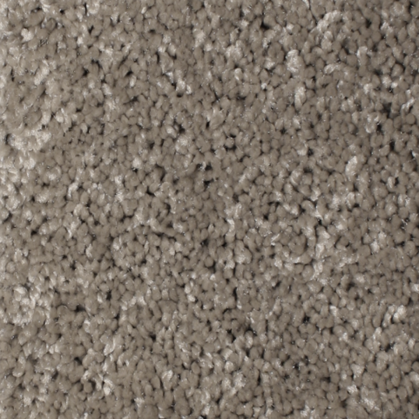 Phenix Carpets First Light MO Solar PHENIX