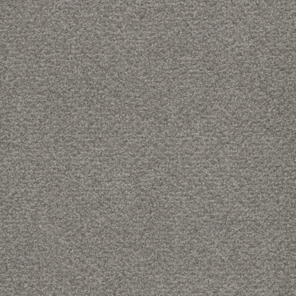 Tarkett Home Carpets Serenade Coin LEXMARK