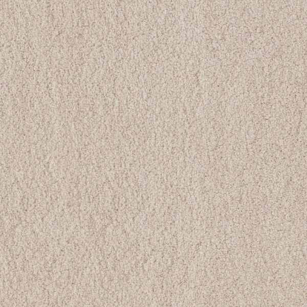 Tuftex Luxe Feel I Neutral Ground SHAW