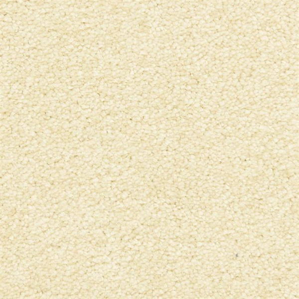 Masland Carpets Morgan Bay Bavarian Cream Masland
