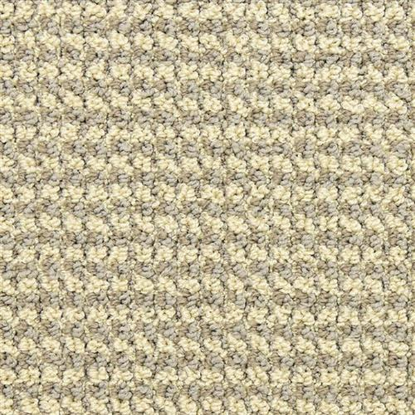 Masland Carpets Tango Rueda Masland